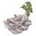 Bloemen Feeën Collector's Wereld Diplay