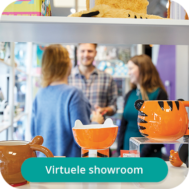 Virtuele Showroom